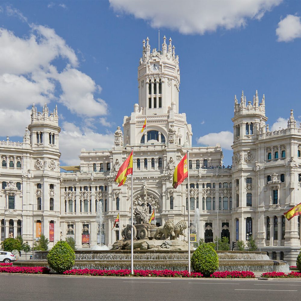 dsa madrid